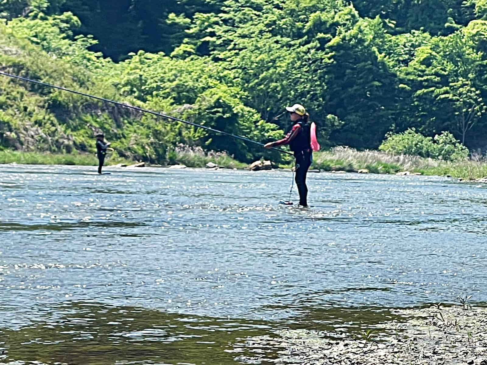 群れにうまく誘導できず…