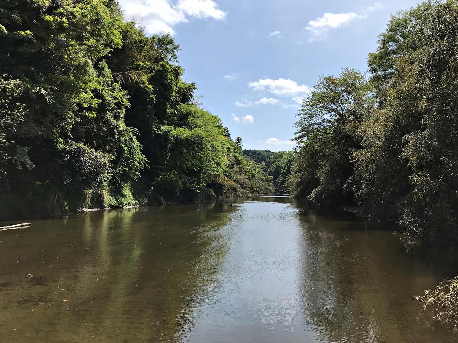 これまでに高滝湖は何度も訪れているが、こんなに上流へエントリーできたのは初めてのこと。コイとヘラブナはわんさか見えたがバスに遭遇したのは1回だけ