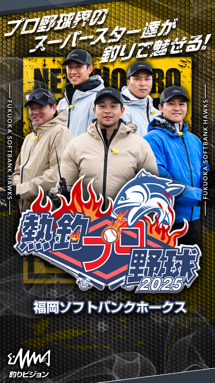 キャンペーン