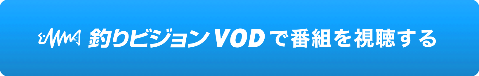 vodで視聴でする