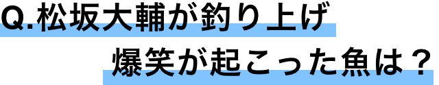Q.松坂大輔が釣り上げ爆笑が起こった魚は？