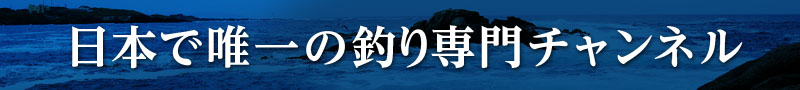 カスタマーセンター釣りビション