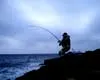 本流のライセンス