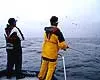 Fishing BUM