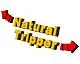 Natural Tripper Trip-11　「広島県　11月の川」