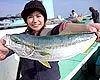 大漁！関東沖釣り爆釣会 その9 小田原沖のイナダ