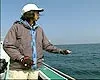 Fishing Cafe
