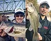 LURE FREAK