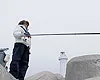 関西発！海釣り派