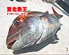 東北魚王