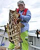 オフショアレボリューション
