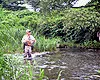 フライギャラリー 刈田式　水生昆虫入門