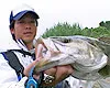 RUN＆GUN SALT IBARAKI SEABASS FISHING