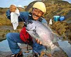 下野流！ 84 ひさしぶりに舞い込みました！イシダイ釣り