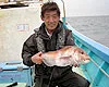 東北魚王 「秋田沖のキスとマダイ釣り」