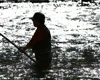 Fishing Cafe