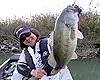 BIG BITE