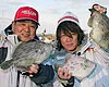 オフショアレボリューション vol.21　大分県別府湾の大カワハギ