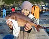 こちら東海です。 その30  海上釣り堀で高級五目釣りに挑戦！