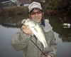 LURE FREAK