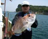 船釣り一番 その20　「香川のマダイがやっぱり一番！」