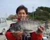 チヌ道一直線 其の二十四 潮と風を読みチヌを探れ 家島諸島で紀州釣りを極める