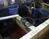 放任計画