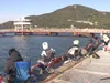 納得！みんなで海釣り公園を楽しもう 