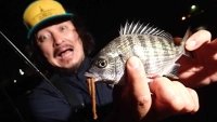 ぶらりバスの旅