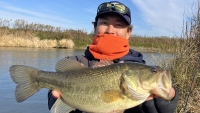 Dz BASS