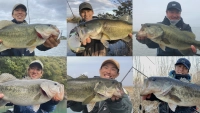 Dz BASS