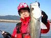 Seabass Journey