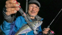 アジングへ行こう！