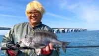 やっぱりシー研 海洋生物研究所