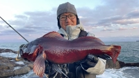 Rock'n Fish