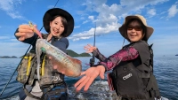 とことんエギパラダイス