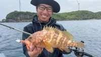 Rock'n Fish