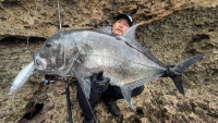 Fish Fury