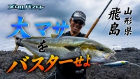 メタルバスター