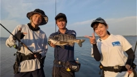 海と青の物語 23