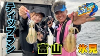 上々SALT