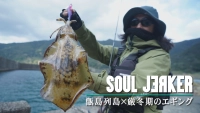 SOUL JERKER 29