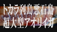 ソルトノトビラ
