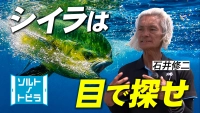 ソルトノトビラ