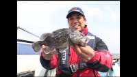 特選！沖釣り紀行