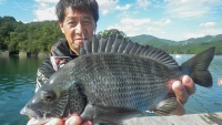 チヌ道一直線