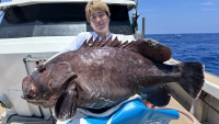 剛海