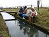 お手軽小物釣り