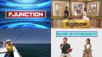 F JUNCTION