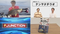 F JUNCTION